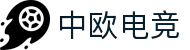 中欧电竞-探索电竞的丝绸之路